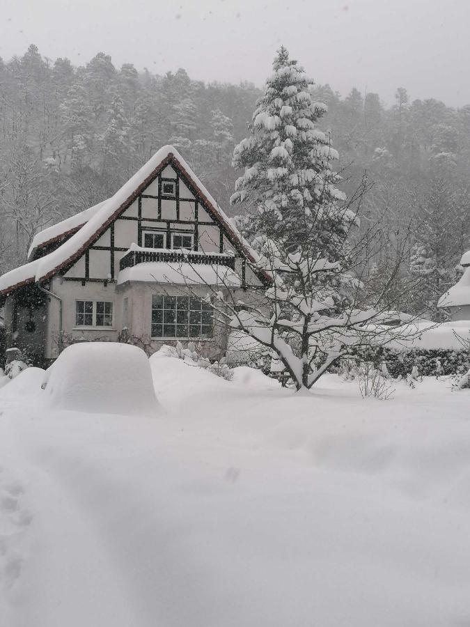 Ferienwohnung Natur Pur Muehlental Wernigerode Exterior photo