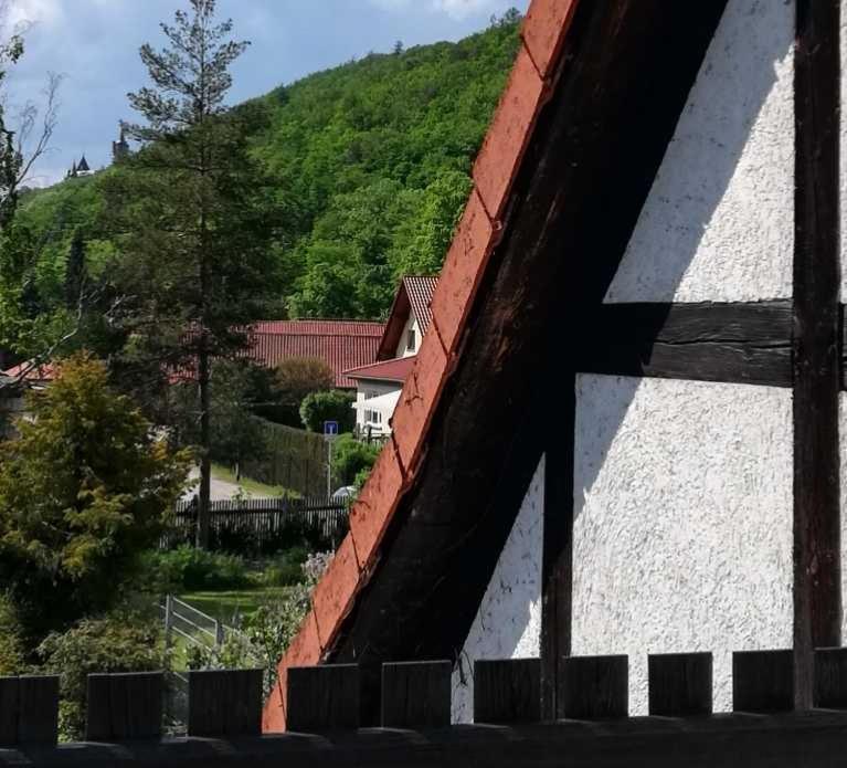 Ferienwohnung Natur Pur Muehlental Wernigerode Exterior photo